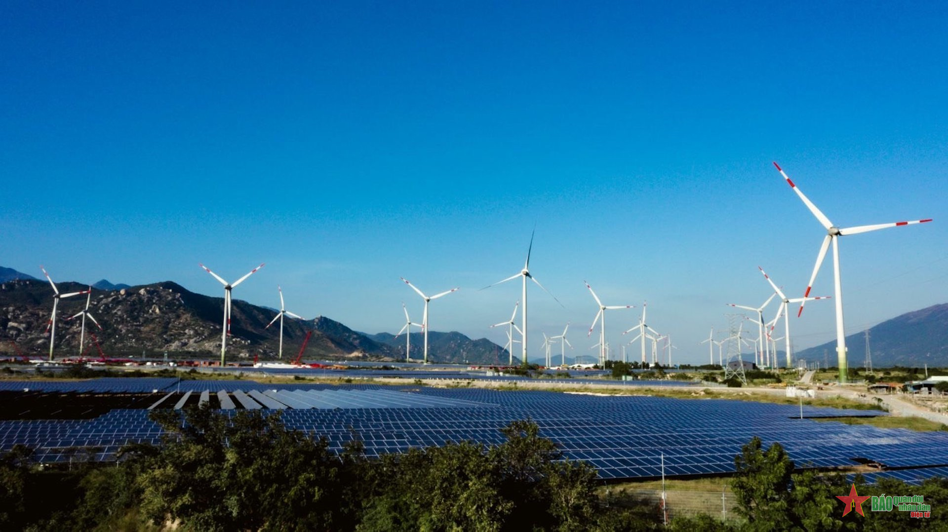 Cập nhật tiến độ đàm phán giá các dự án năng lượng tái tạo chuyển tiếp