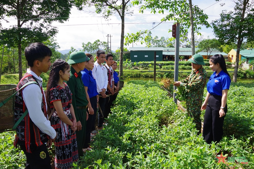 Cán bộ, nhân viên Đoàn Kinh tế-Quốc phòng 92 hướng dẫn bà con cách trồng lạc. 