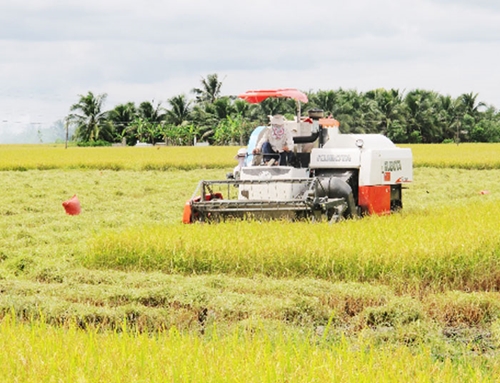 Đồng Nai: Đột phá phát triển nông nghiệp hữu cơ 