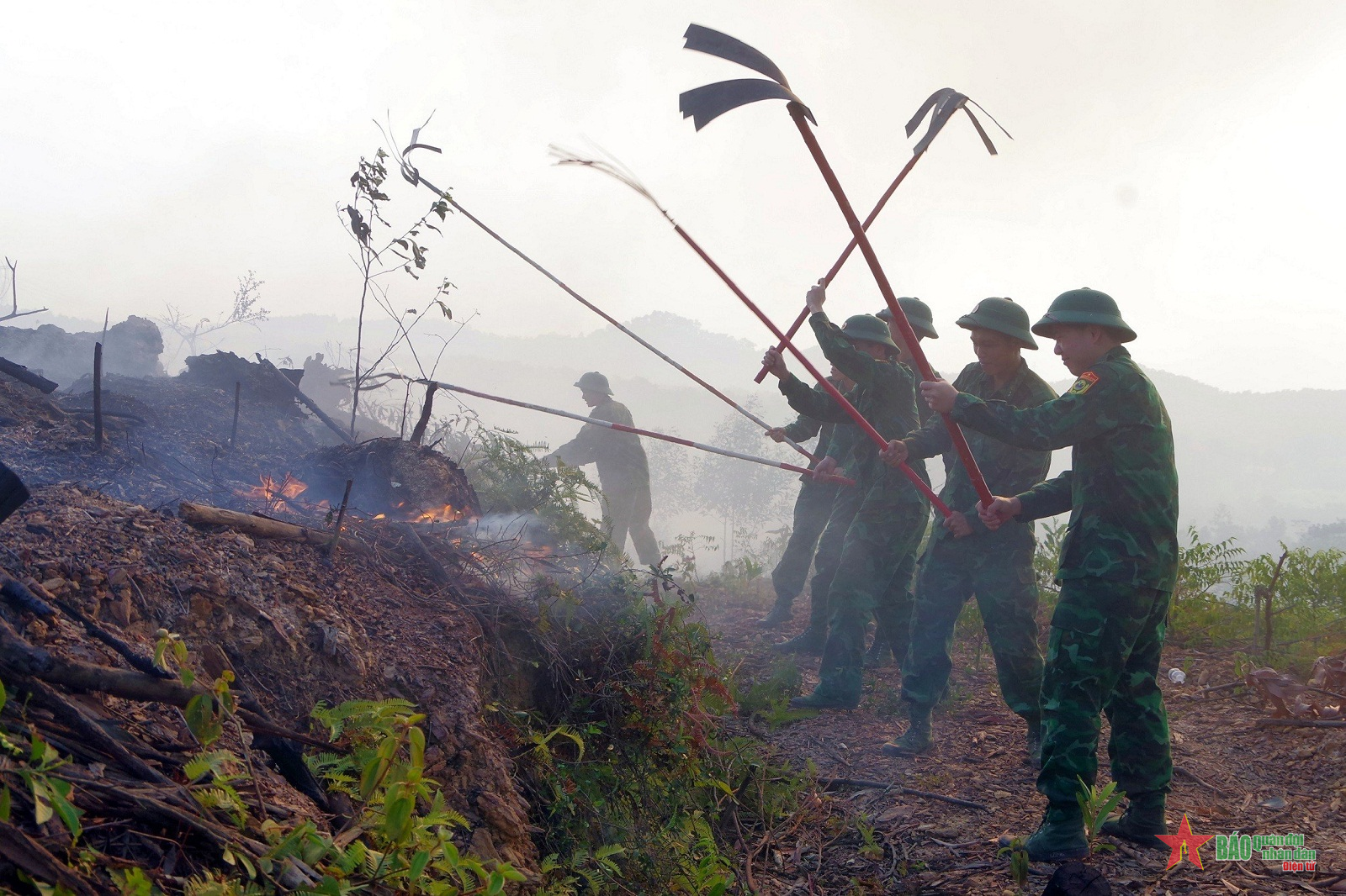 Diễn tập phòng cháy, chữa cháy rừng