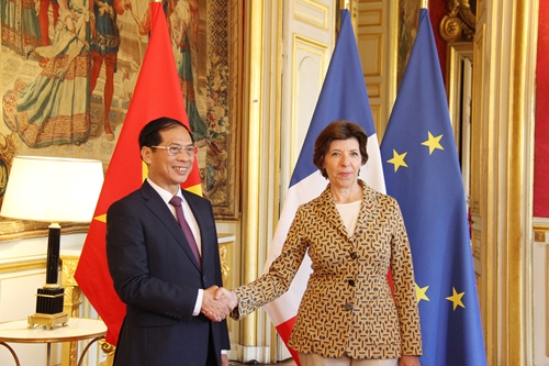 Việt Nam và Pháp thúc đẩy hợp tác trong nhiều lĩnh vực
