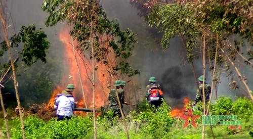 Phú Yên: Chủ động phòng, chống cháy rừng