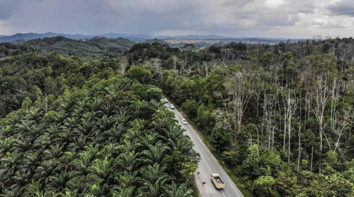 Indonesia tăng tốc xây thủ đô mới