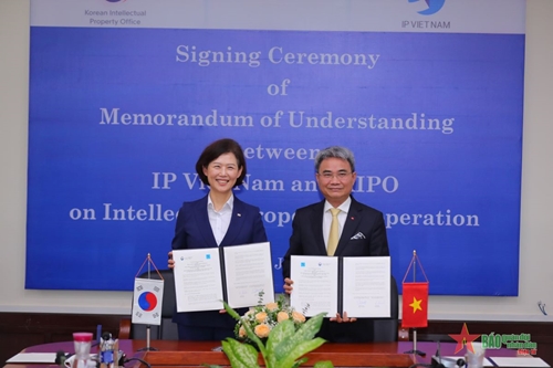 Việt Nam và Hàn Quốc tăng cường hợp tác về sở hữu trí tuệ