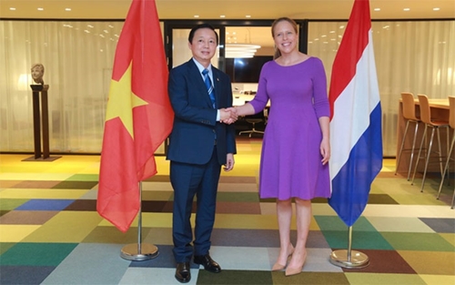 Quan hệ hợp tác Việt Nam - Hà Lan phát triển tích cực
