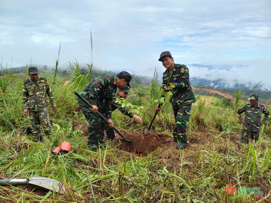 Bộ đội Việt Nam và Lào phối hợp trồng cây trắc xanh. 