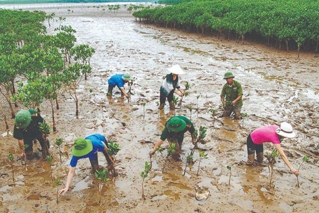 Chủ động ứng phó với biến đổi khí hậu, tăng cường quản lý tài nguyên và bảo vệ môi trường. Ảnh: Báo Chính phủ 