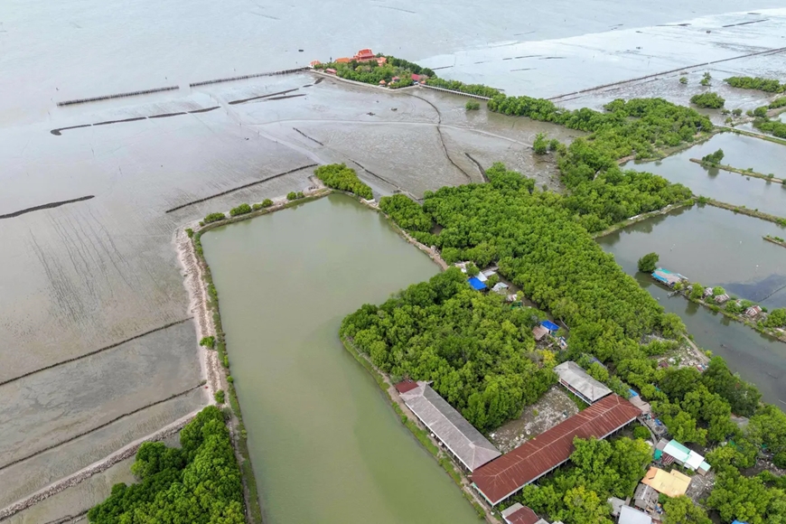 Một góc làng Ban Khun Samut Chin (tỉnh Samut Prakan, Thái Lan) bị bủa vây bởi nước biển. Ảnh: Getty Images 