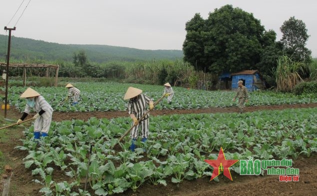 Nữ phạm nhân tổ trồng trọt chăm sóc rau xanh. 