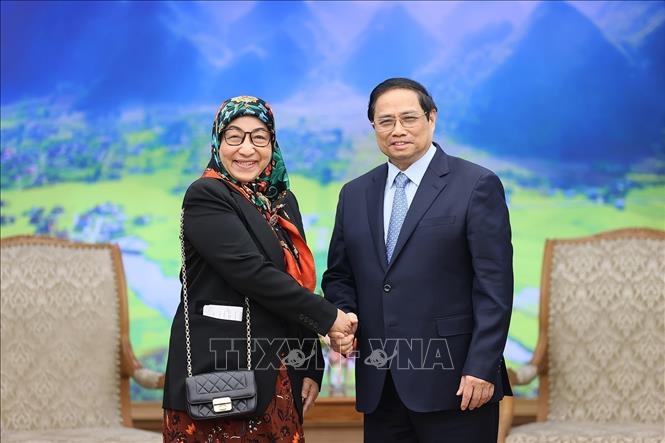 Thủ tướng Phạm Minh Chính tiếp bà Datin Paduka Malai Hajah Halimah Malai Haji Yussof, Đại sứ Brunei Darussalam tại Việt Nam. Ảnh: TTXVN