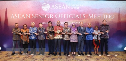 Việt Nam tham dự cuộc họp SOM ASEAN và SEANWFZ