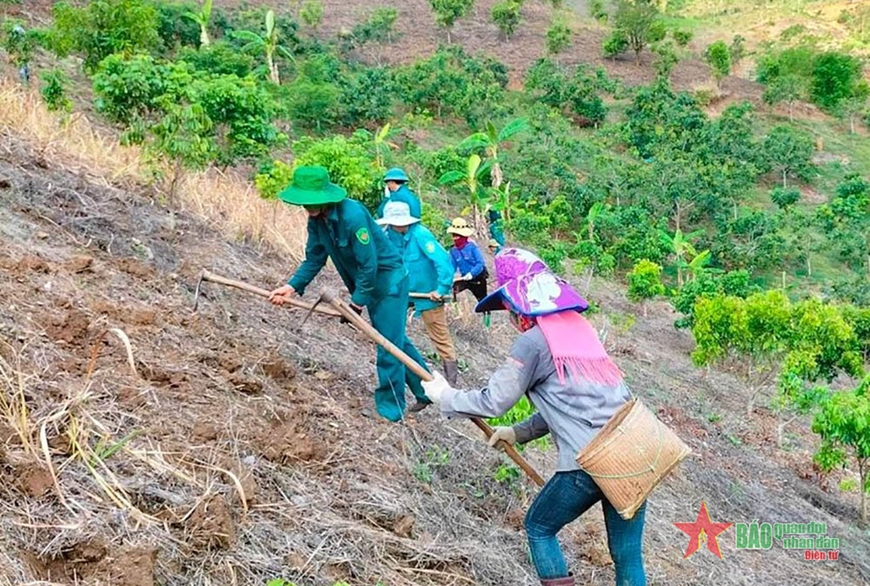 Lực lượng dân quân xã Mường Sai, huyện Sông Mã giúp người dân trong xã đào hố trồng cây. Ảnh: TRUNG HÀ 