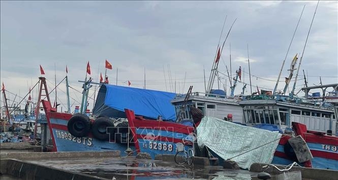Tàu thuyền thành phố Sầm Sơn về đến nơi an toàn trước khi bão số 1 đổ bộ. Ảnh tư liệu: TTXVN 