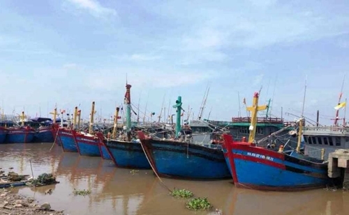Cập nhật bão số 1: Nam Định, Thái Bình và Hải Phòng cấm biển để phòng, chống bão số 1