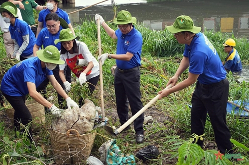 Hàng nghìn đoàn viên, thanh niên TP Hồ Chí Minh tham gia trồng cây, cải tạo kênh rạch