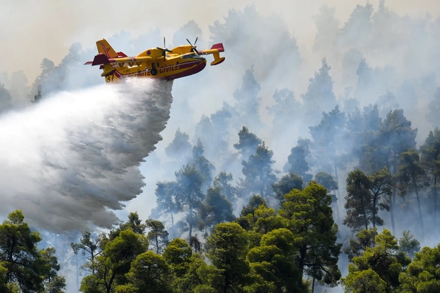 Nhiều đám cháy rừng ở Hy Lạp đã vượt ngoài vòng kiểm soát. Ảnh: Reuters  
