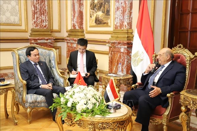 Phó thủ tướng Trần Lưu Quang hội đàm với Chủ tịch Thượng viện Ai Cập Abdel-Wahab Abdel-Razek. Ảnh: TTXVN 