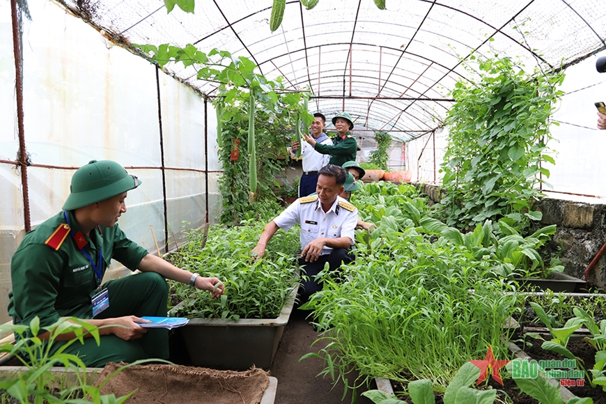 Thành viên đoàn công tác số 19 tham quan vườn rau trên đảo An Bang. Ảnh: KHÚC HOÀI SƠN 