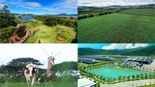 Vinamilk đầu tư gì cho những trang trại “xanh”?