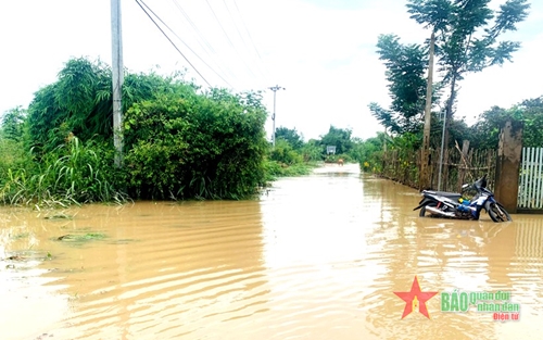 Huyện biên giới Ea Súp (Đắk Lắk), thiệt hại hơn 1.462 héc-ta cây trồng do mưa bão