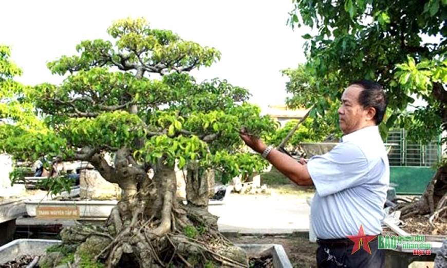 Trung tướng Đoàn Sinh Hưởng: Trung tướng mê vườn
