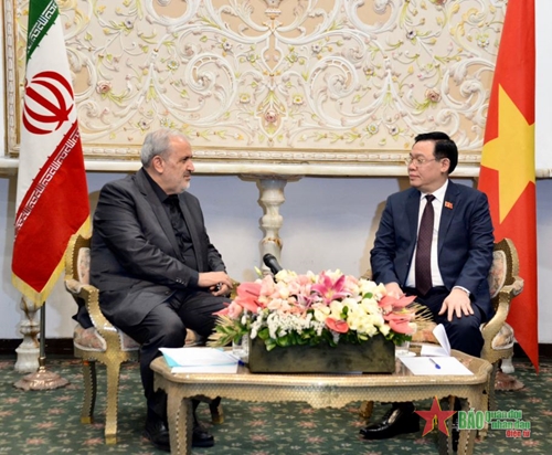 Việt Nam-Iran cần khai thác tối đa tiềm năng hợp tác