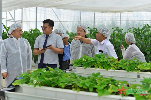 Hàn Quốc hỗ trợ Việt Nam thiết lập chuỗi giá trị nông sản thông minh và an toàn