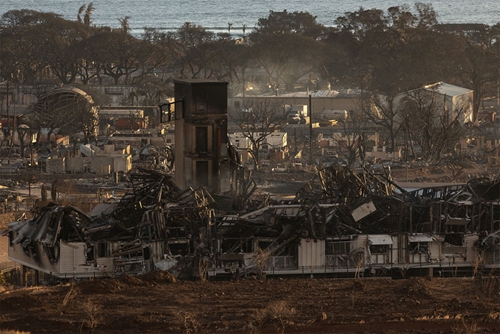 Thảm họa cháy rừng ở Hawaii (Mỹ): Số nạn nhân thiệt mạng có thể tăng gấp đôi trong vài ngày tới