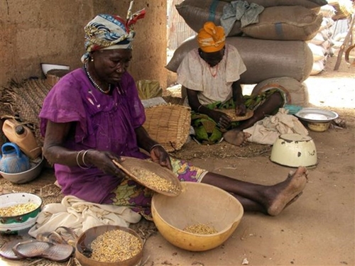 Niger đối mặt với tình trạng mất an ninh lương thực