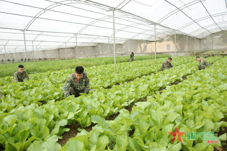 Chương trình phối hợp giữa Bộ Quốc phòng với Bộ Nông nghiệp và Phát triển nông thôn: Chung sức khai thác những tiềm năng, lợi thế