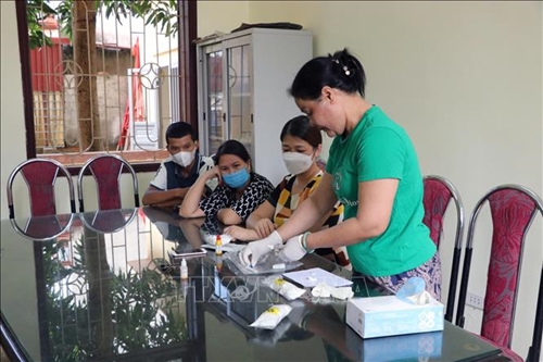 Xử phạt Nhóm Tự lực Bông Hồng Đen tự ý lấy máu của học sinh để xét nghiệm 