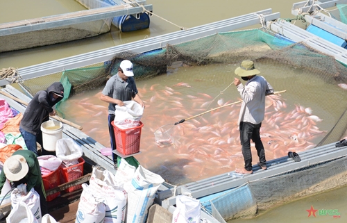 Tổng sản lượng thủy sản trên địa bàn thành phố Đà Nẵng ước đạt 26.492 tấn
