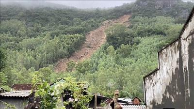 ビンディン州カム山で数十世帯が地滑りの恐怖に怯えて暮らす