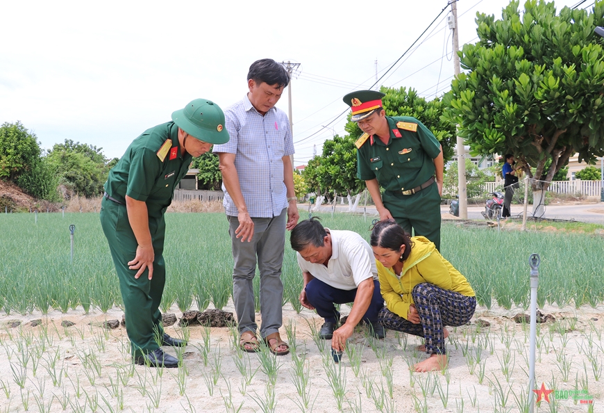 Đoàn Kinh tế-Quốc phòng 516 triển khai mô hình giảm nghèo tại huyện đảo Lý Sơn