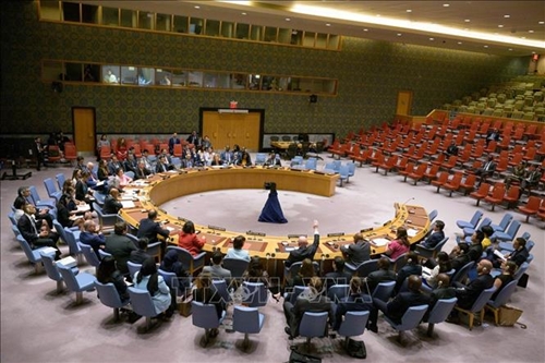 Hội đồng Bảo an Liên hợp quốc không đạt được nhất trí về việc gia hạn biện pháp trừng phạt Mali