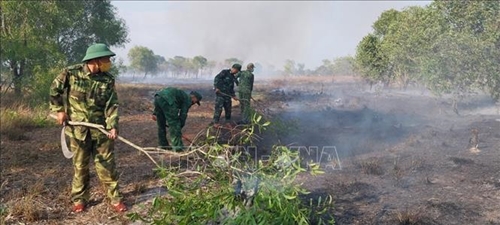 Quảng Trị: Cháy khoảng 30 ha rừng phòng hộ