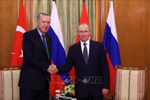 Tổng thống Nga Putin khẳng định sẵn sàng thảo luận về thỏa thuận ngũ cốc Biển Đen