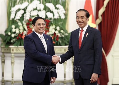 Thủ tướng Chính phủ Phạm Minh Chính hội kiến Tổng thống Indonesia Joko Widodo