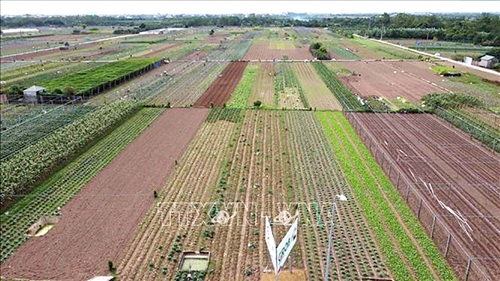 Hà Nội: Gần 300ha đất nông nghiệp được chuyển đổi mục đích sử dụng đất