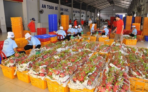 Nông sản Việt Nam có triển vọng to lớn ở thị trường Trung Quốc