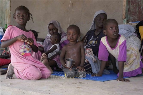 Đại hội đồng LHQ khóa 78: LHQ cảnh báo nguy cơ xung đột tại Sudan biến thành thảm kịch đối với nhân loại