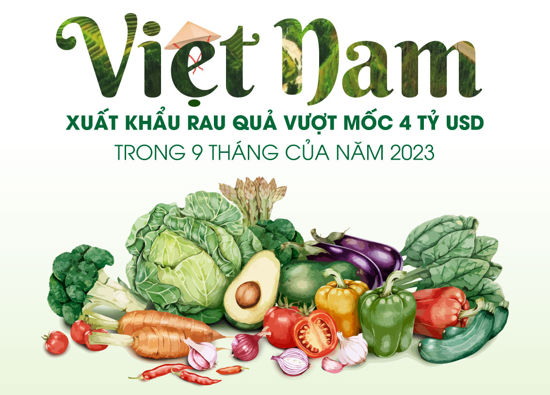 Việt Nam: Xuất khẩu rau quả vượt mốc 4 tỷ USD trong 9 tháng của năm 2023