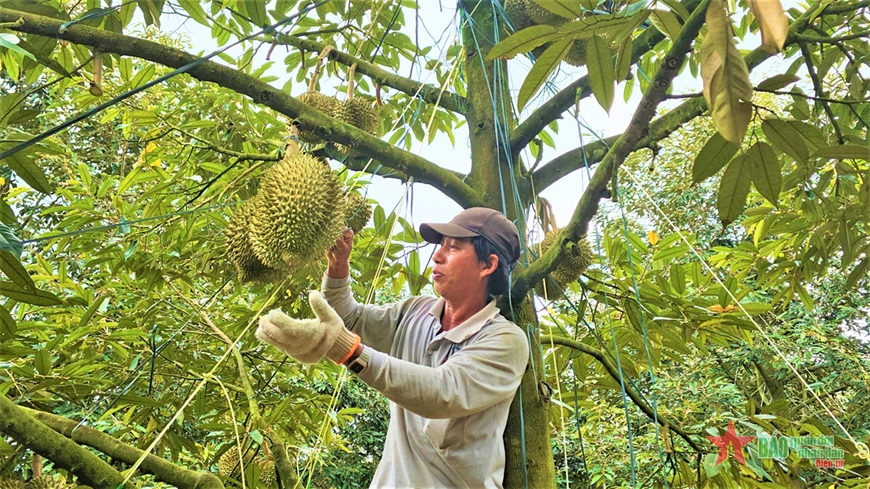 Hệ lụy từ 