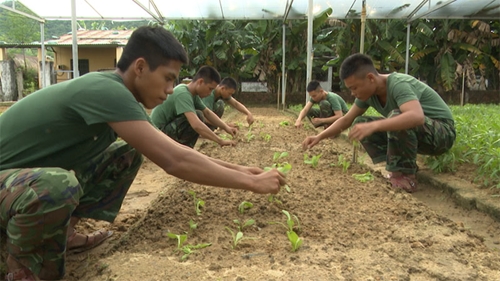 Lực lượng vũ trang Đà Nẵng tăng gia sản xuất để “nuôi quân khỏe, huấn luyện giỏi”