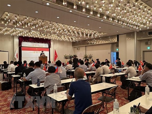 Đẩy mạnh hợp tác Việt Nam - Nhật Bản trong lĩnh vực tiếp nhận, đào tạo thực tập sinh, lao động hộ lý