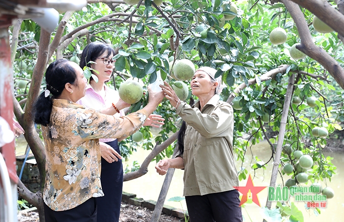 Hà Nội nâng cao chất lượng tín dụng chính sách, xây dựng nông thôn mới