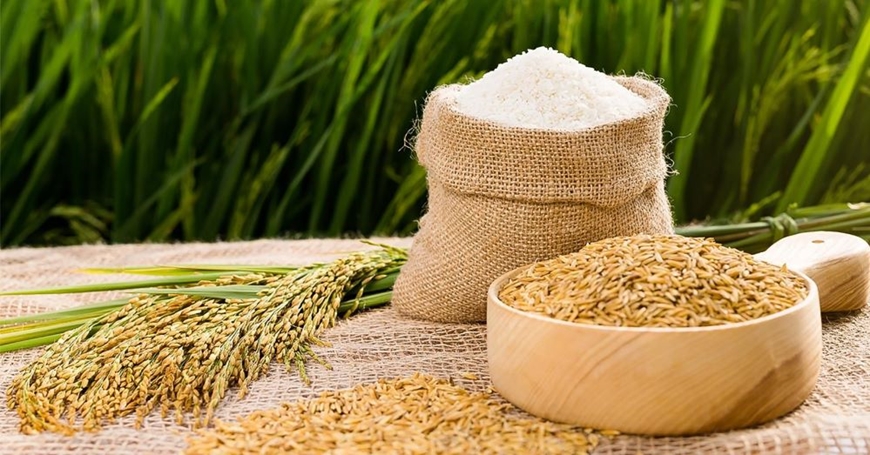 9 tháng năm 2023, xuất khẩu gạo Việt Nam thiết lập kỷ lục mới