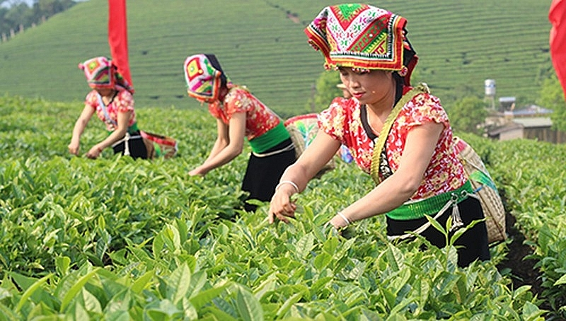 Hỏi-Đáp pháp luật: Mục đích sử dụng vốn vay đối với hộ kinh doanh tại vùng đồng bào dân tộc thiểu số và miền núi giai đoạn 2021- 2030