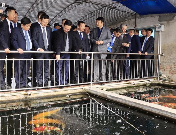 Chủ tịch nước Võ Văn Thưởng gặp gỡ cán bộ, nhân viên các cơ quan đại diện ngoại giao Việt Nam tại Trung Quốc