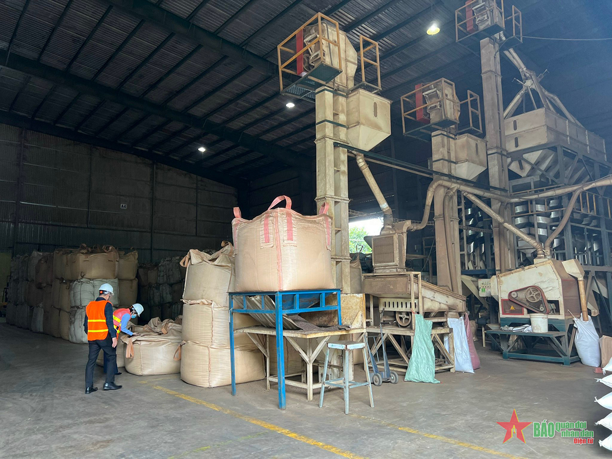 Hướng tín dụng vào các mặt hàng nông sản chủ lực của Tây Nguyên